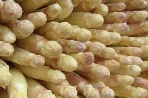 Asperges