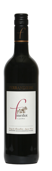 Ferrandiere Merlot