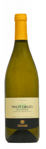 Cesari Pinot Grigio