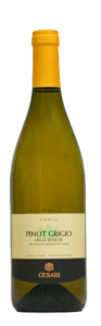 Cesari Pinot Grigio