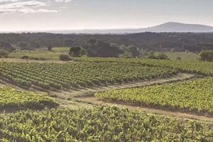 Voorjaarswijnen Domaines Paul Mas