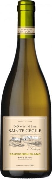 1350410-ste-cecile-larabesque-sauvignon-blanc-0750l 1350410-ste-cecile-larabesque-sauvignon-blanc-0750l