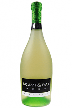 Scavi-Ray-hugo