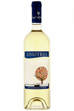 Enotria Wit