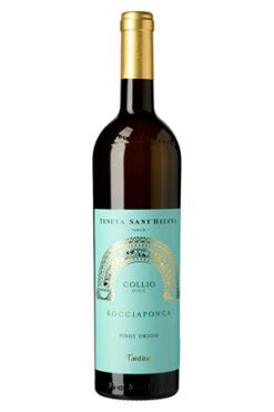 Fantinel Pinot Grigio St. Helena