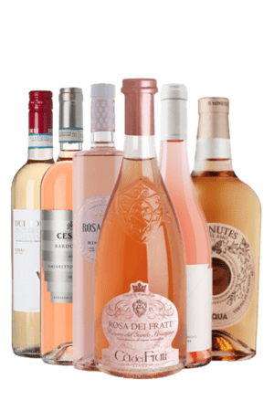 Beste Italiaanse rosé wijnpakket
