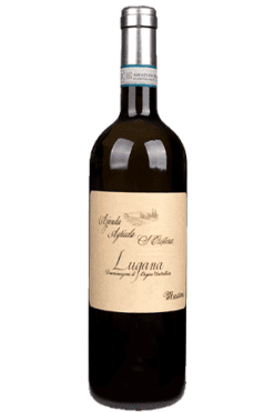 Zenato Santa Cristina Lugana Vigneti Massoni