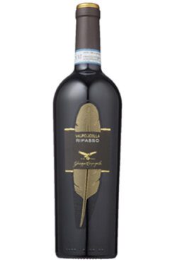 Campagnola Valpolicella Ripasso