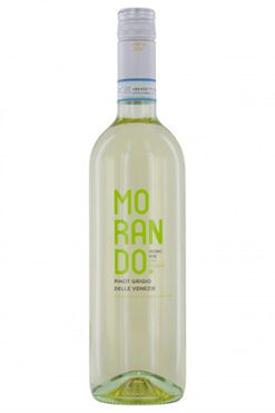 Campagnola Morando Pinot Grigio Organic