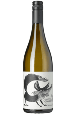 Donabaum Grüner Veltliner der Fuchs