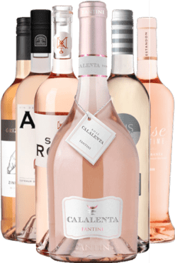 Best of 2024 - Rose pakket