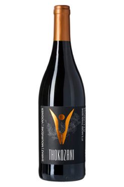 Thokozani SMV